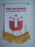 /album/cina1/federation-of-university-sport-of-china-28-jpg/